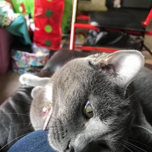 Meet your Posher, Deborah